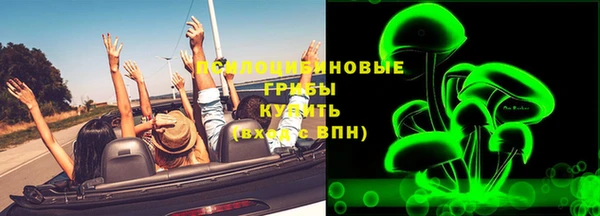 прущие грибы Абдулино