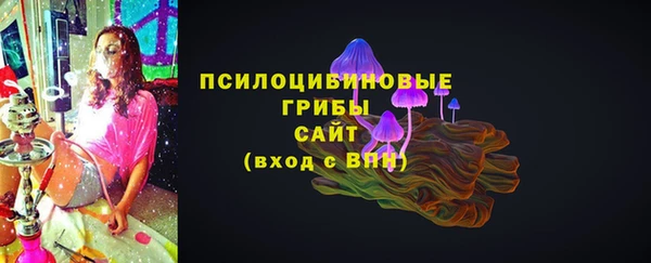 гашик Абинск