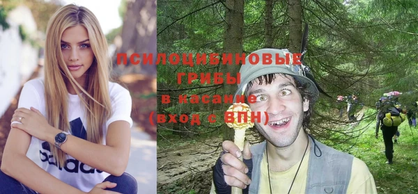 прущий лед Абаза