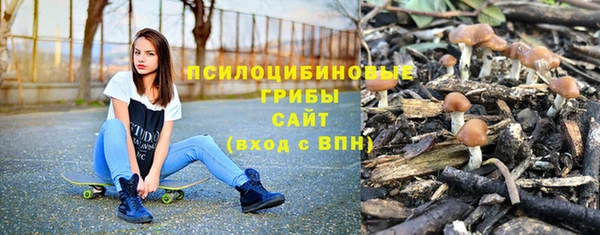 прущие грибы Абдулино
