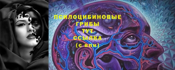 прущий лед Абаза