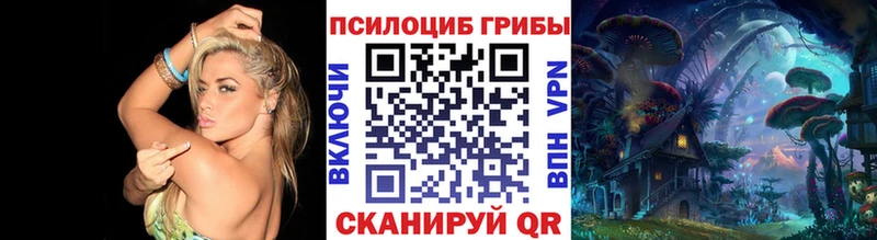 Псилоцибиновые грибы Psilocybine cubensis  наркошоп  гидра tor  Юхнов 